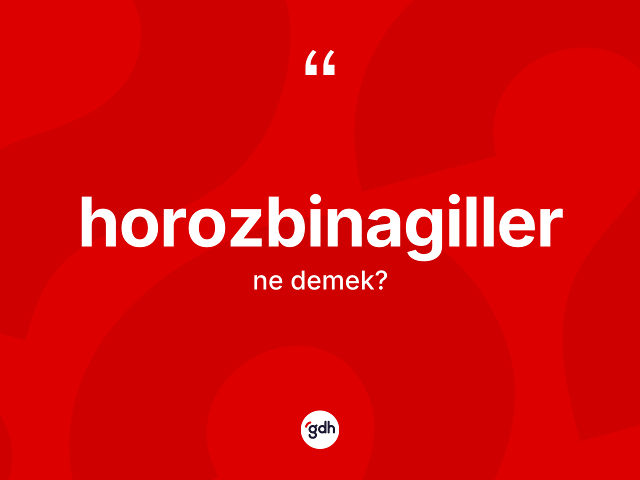 Horozbinagiller kelimesinin tanımı nedir? Horozbinagillerin halk arasındaki kullanımı nasıldır?