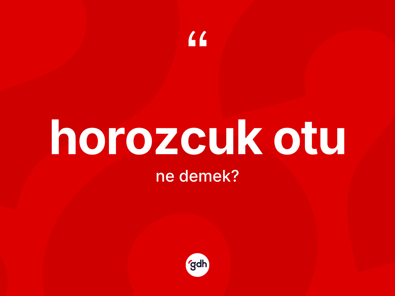 Horozcuk otu kelimesi nedir? Horozcuk otu kelimesinin özellikleri nelerdir?