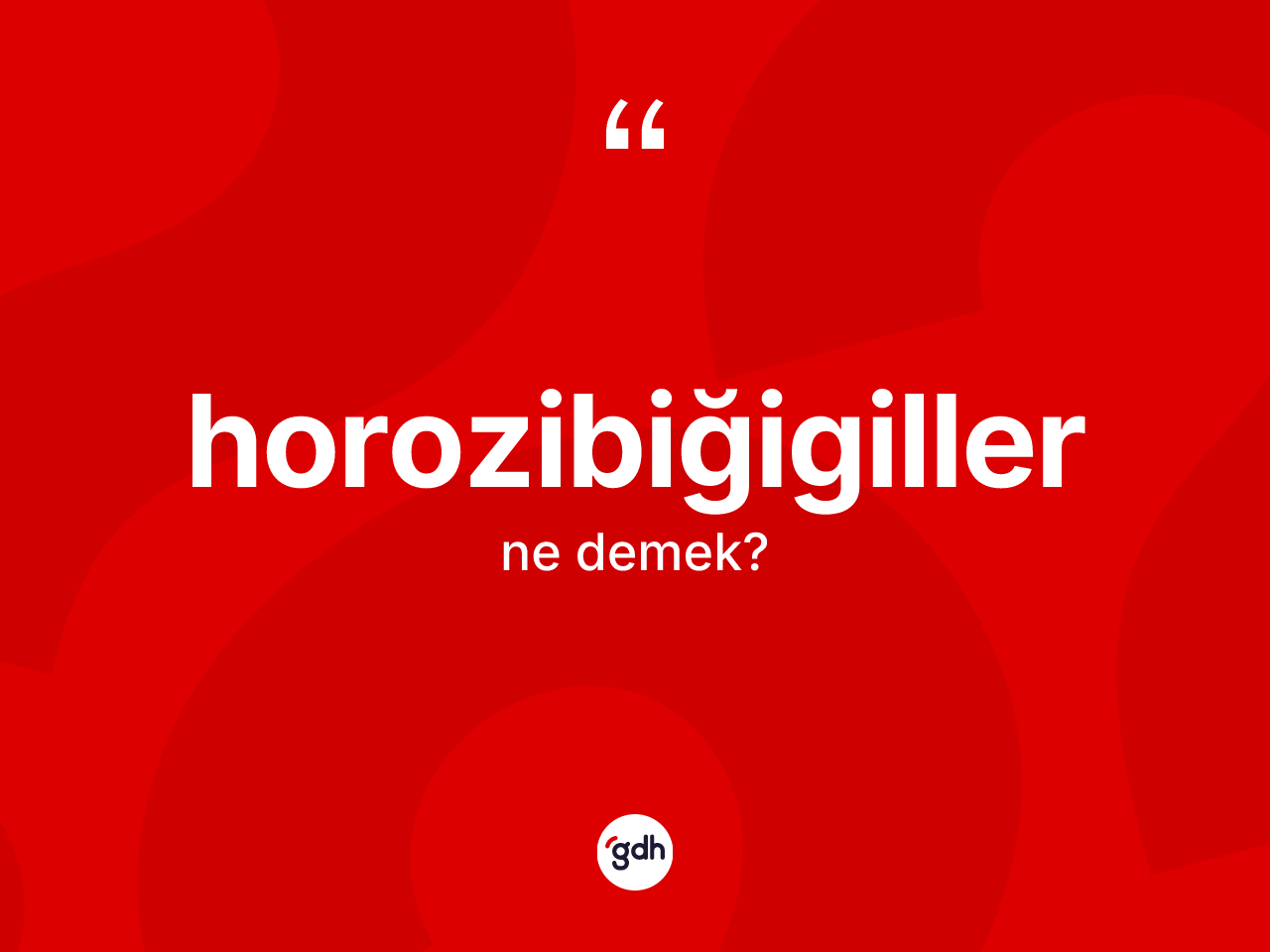 Horozibiğigiller kelimesinin anlamı nedir? Horozibiğigiller kelimesinin özellikleri nelerdir?