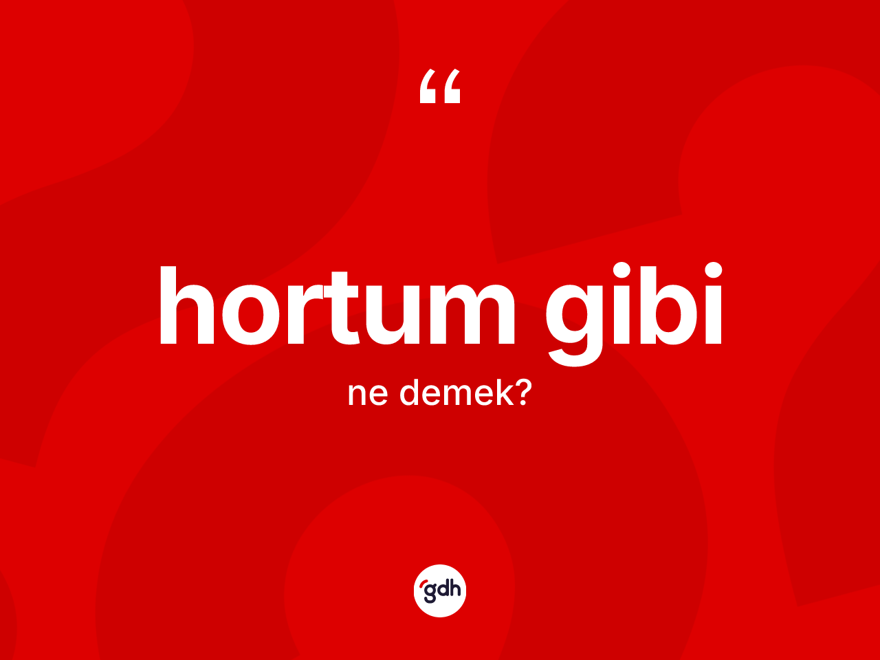 Hortum gibi ifadesinin kısaca tanımı nedir? Hortum gibi ifadesinin TDK anlamı nedir?