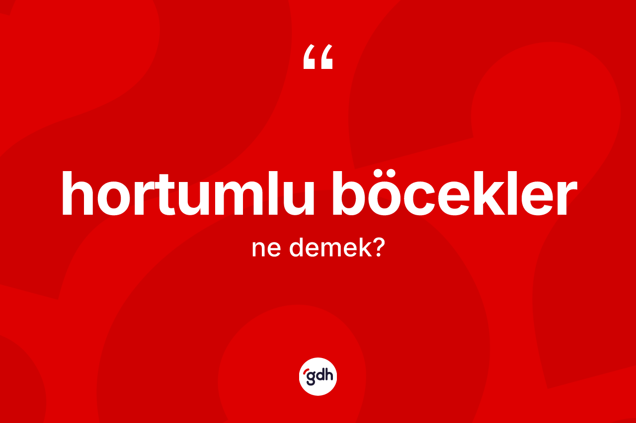 Hortumlu böcekler kelimesinin sözlükteki tanımı nedir?