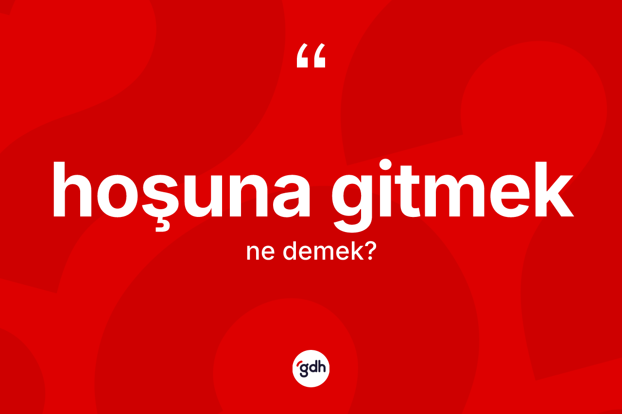Hoşuna gitmek nedir? Hoşuna gitmek ifadesi nerede kullanılır?