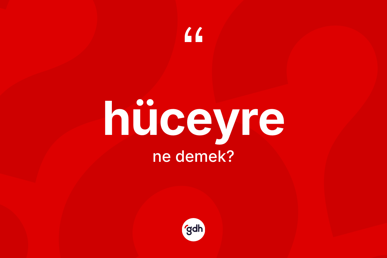 Hüceyre kelimesinin sözlükteki tanımı nedir? Hüceyrenin TDK'ya göre anlamı nedir?