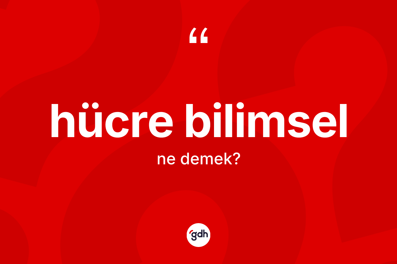 Hücre bilimsel kelimesinin anlamı nedir? Hücre bilimselin halk arasındaki kullanımı nasıldır?
