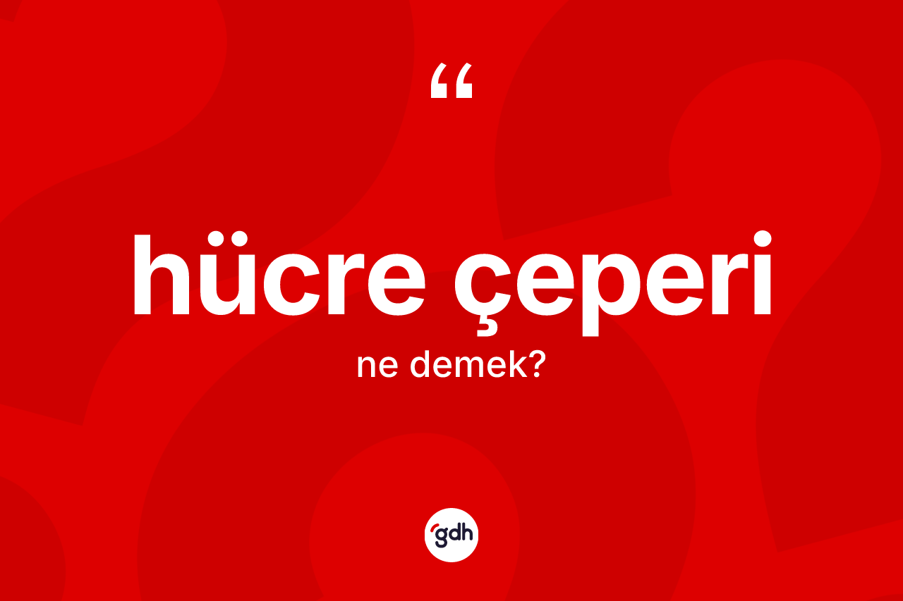 Hücre çeperi kelimesinin tanımı nedir? Hücre çeperinin kısaca tanımı nedir?