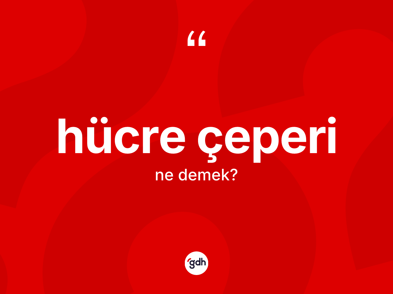Hücre çeperi kelimesinin tanımı nedir? Hücre çeperinin kısaca tanımı nedir?