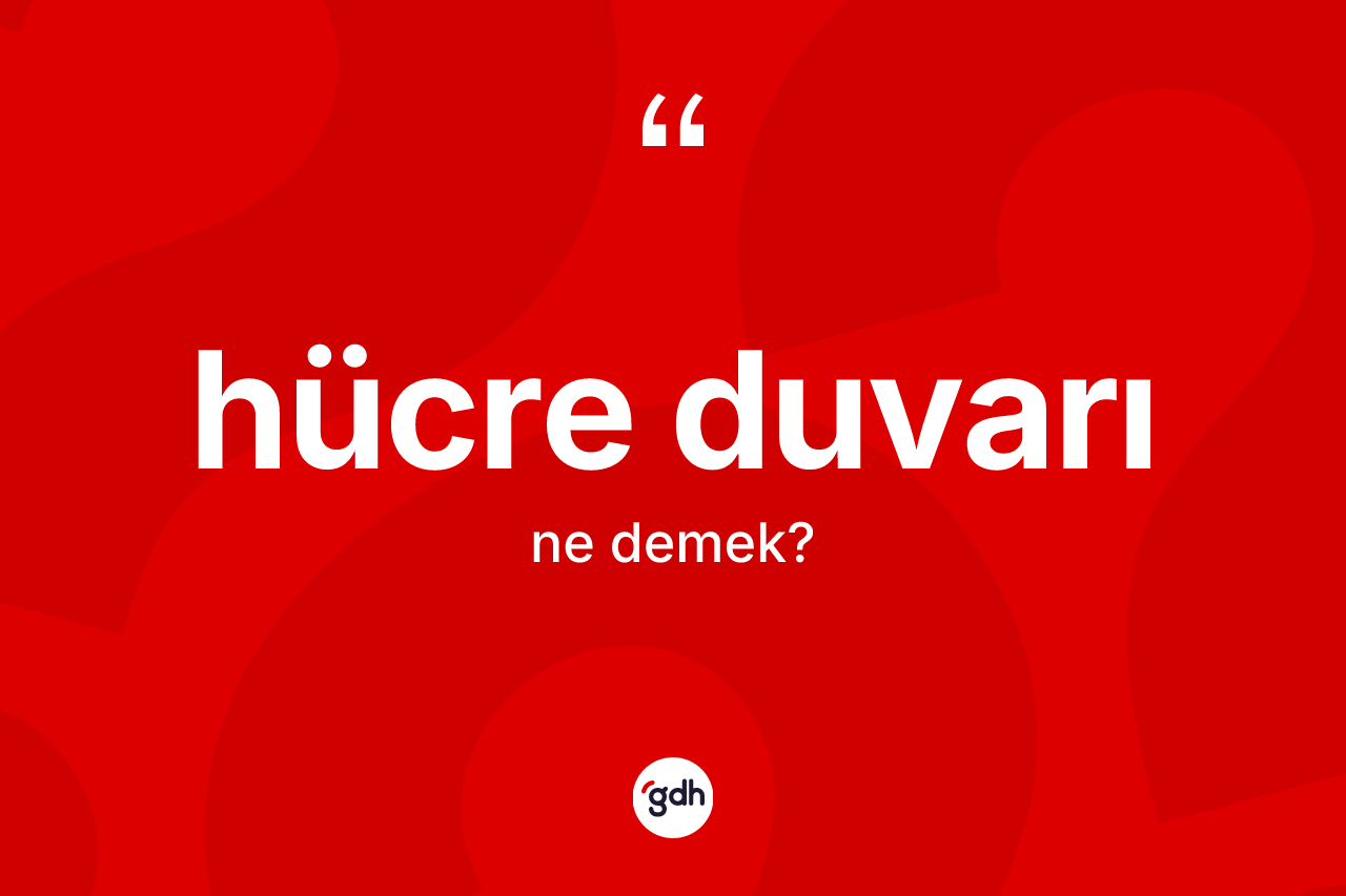 Hücre duvarı kelimesinin sözlükteki tanımı nedir? Hücre duvarının sözlükteki anlamı nedir?