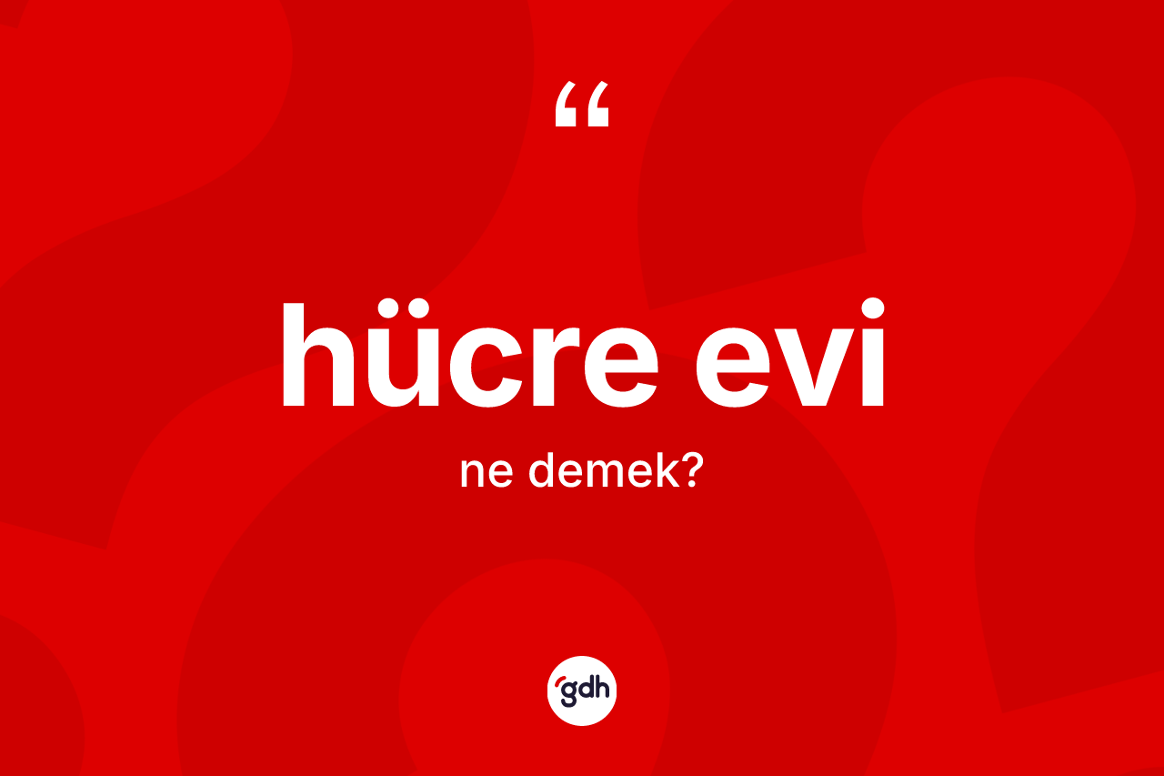 Hücre evi kelimesi nedir? Hücre evi kelimesinin kaç farklı anlamı var?