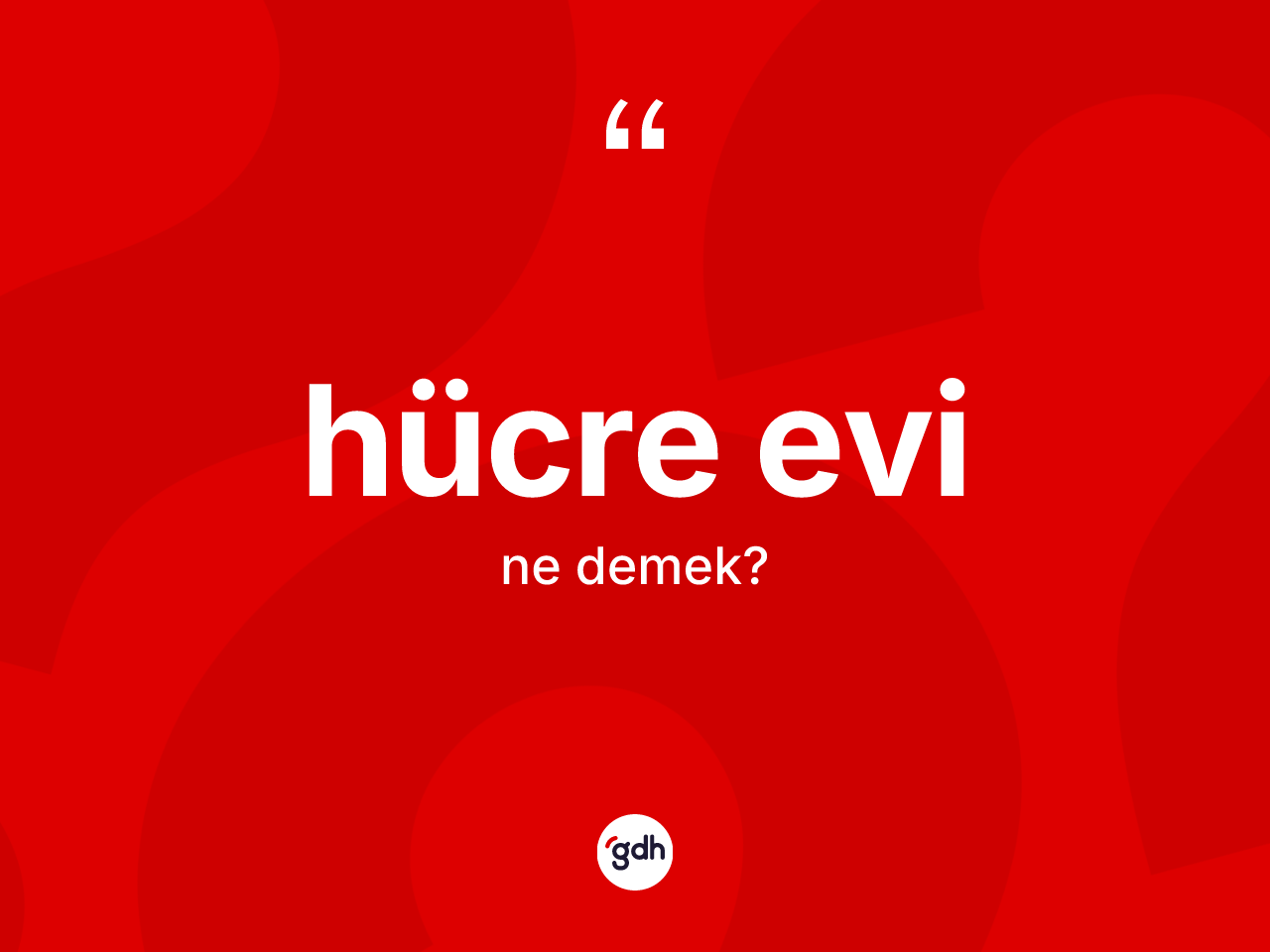 Hücre evi kelimesi nedir? Hücre evi kelimesinin kaç farklı anlamı var?
