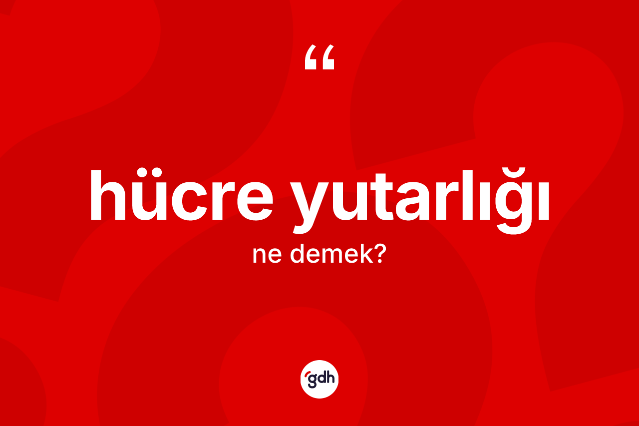 Hücre yutarlığı kelimesi ne demek? Hücre yutarlığı kelimesinin özellikleri nelerdir?