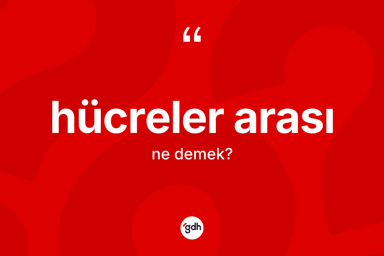 Hücreler arası kelimesi ne anlama gelir? Hücreler arasının kısaca tanımı nedir?