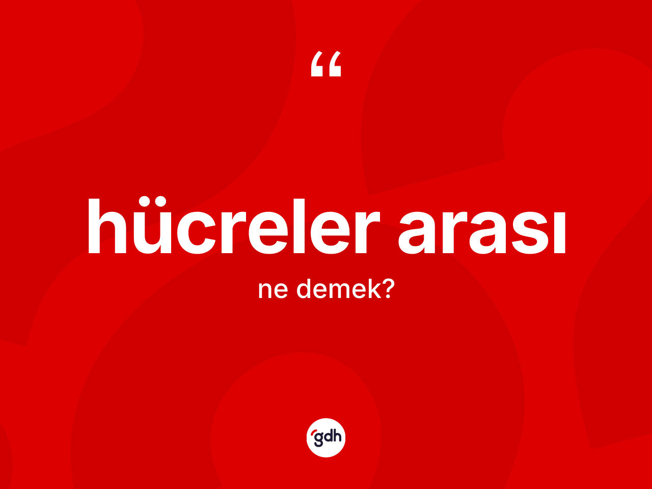 Hücreler arası kelimesi ne anlama gelir? Hücreler arasının kısaca tanımı nedir?