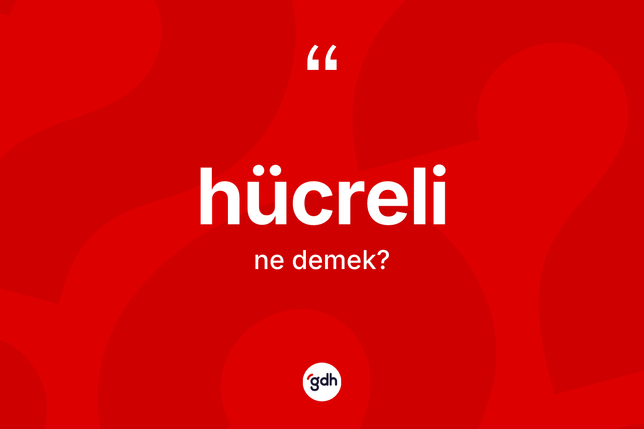 Hücreli kelimesi ne anlama gelir? Hücreli kelimesinin TDK'ya göre açıklaması nedir?