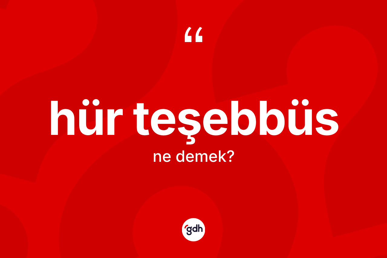 Hür teşebbüs kelimesinin tanımı nedir? Hür teşebbüs kelimesinin TDK anlamı nedir?