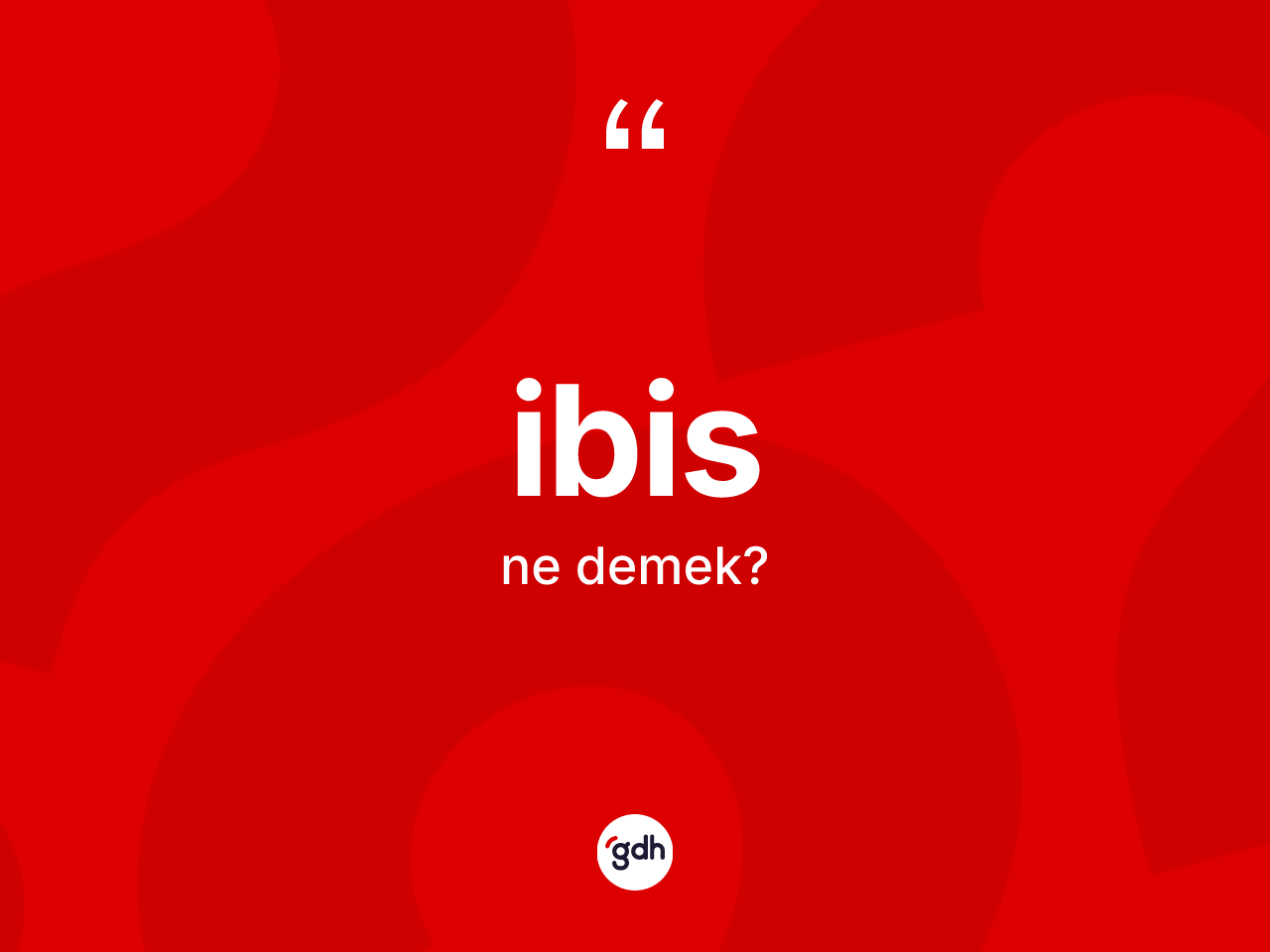 İbis kelimesinin anlamı nedir? İbisin TDK'ya göre anlamı nedir?