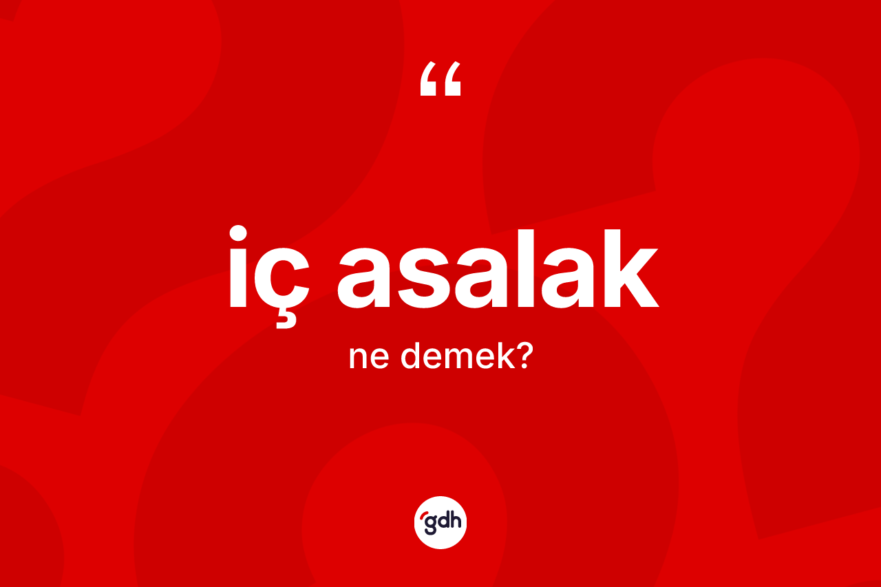 İç asalak kelimesinin anlamı nedir? İç asalağın TDK'ya göre anlamı nedir?