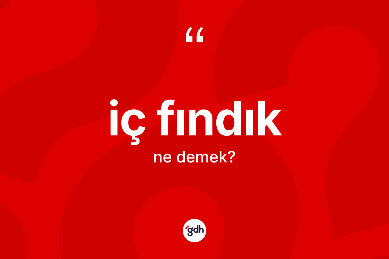 İç fındık kelimesinin anlamı nedir? İç fındık kelimesinin kaç farklı anlamı var?