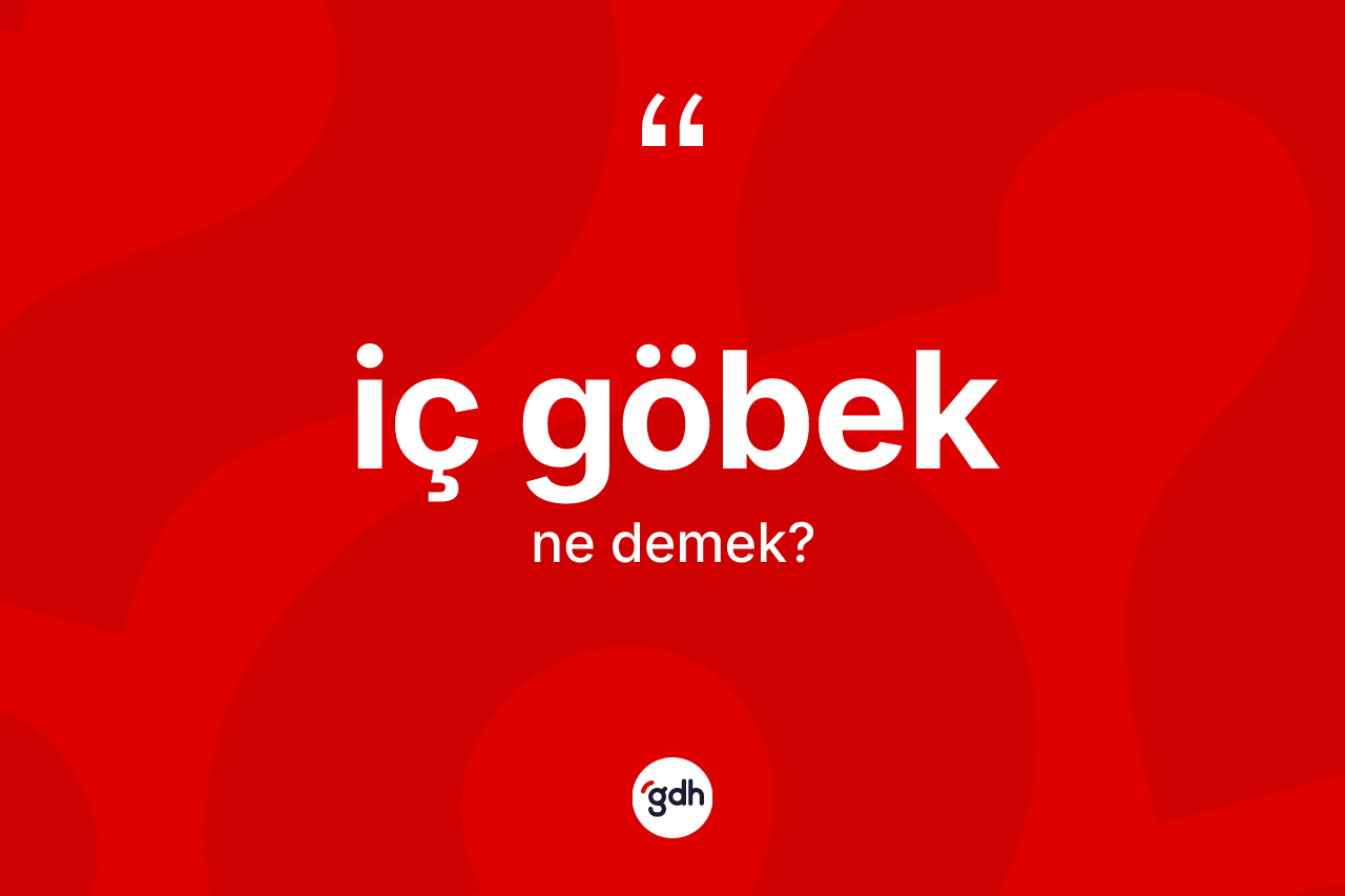 İç göbek kelimesinin sözlükteki tanımı nedir? İç göbek kelimesinin özellikleri nelerdir?