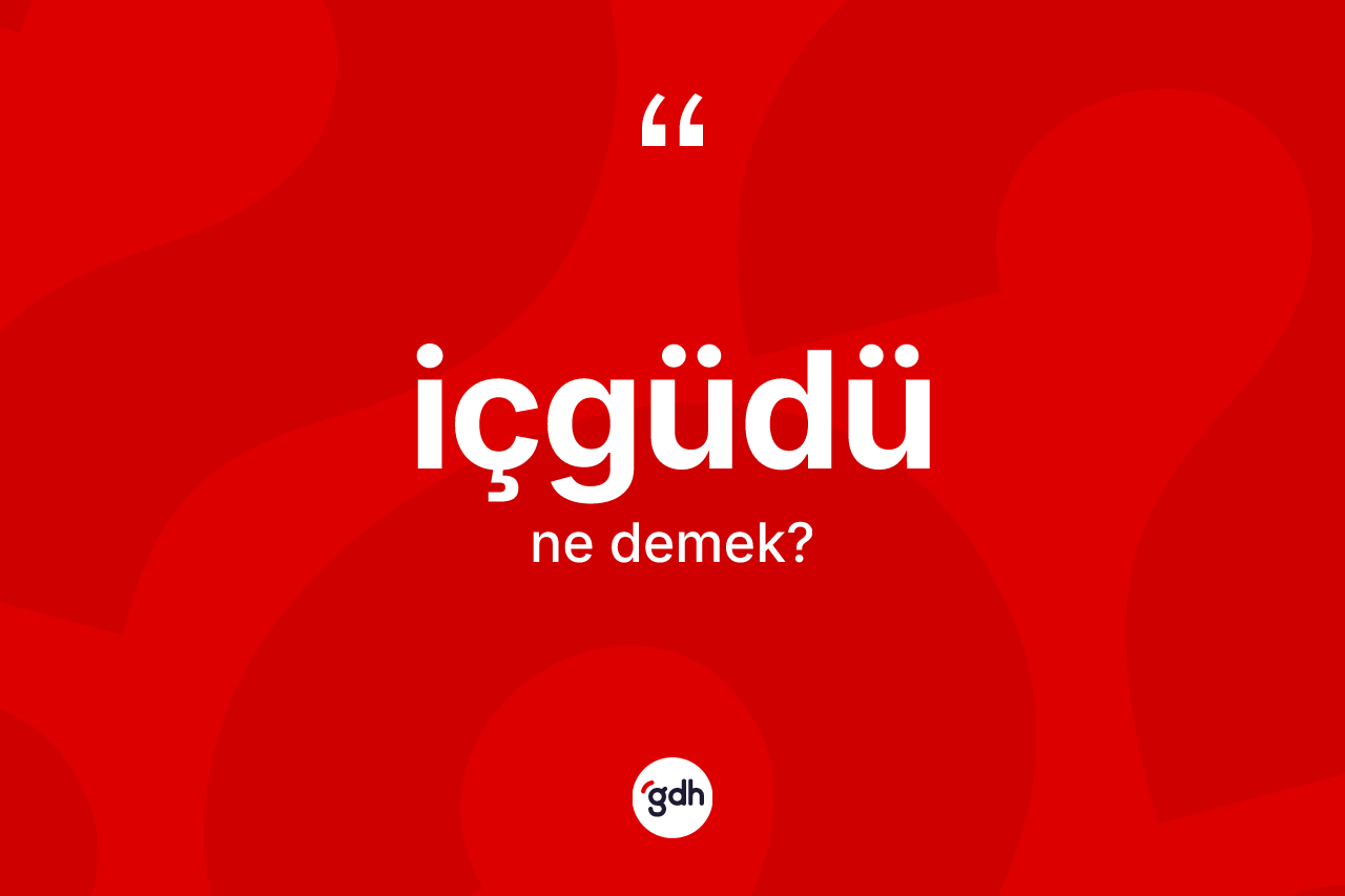 İçgüdü kelimesinin tanımı nedir?