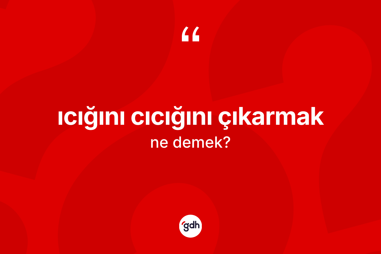 Icığını cıcığını çıkarmak ifadesinin anlamı nedir?