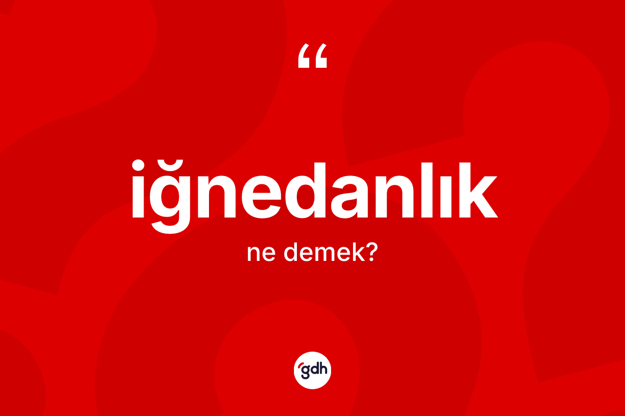 İğnedanlık kelimesinin anlamı nedir? İğnedanlığın sözlükteki anlamı nedir?