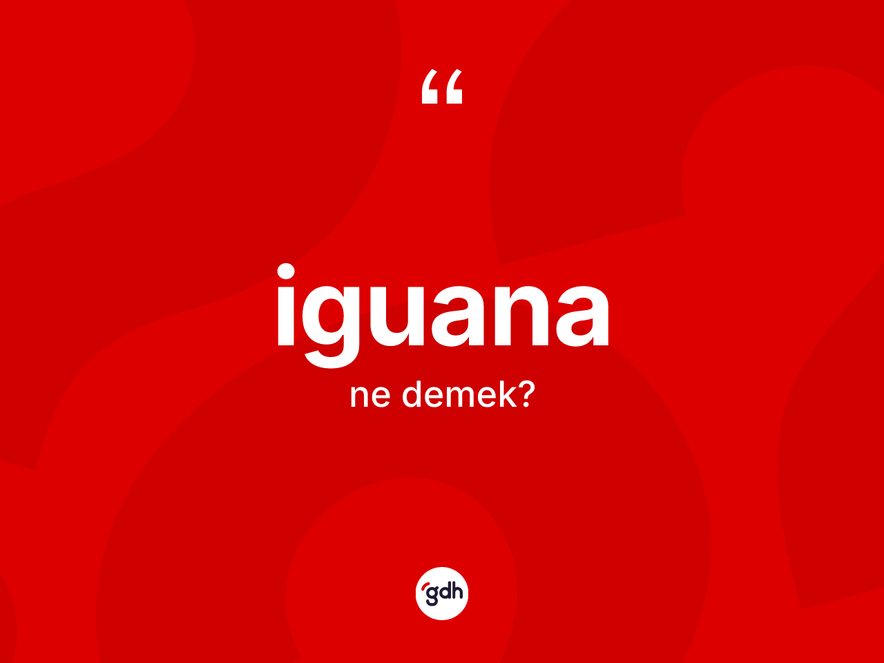 İguana kelimesinin tanımı nedir? İguana kelimesinin TDK anlamı nedir?