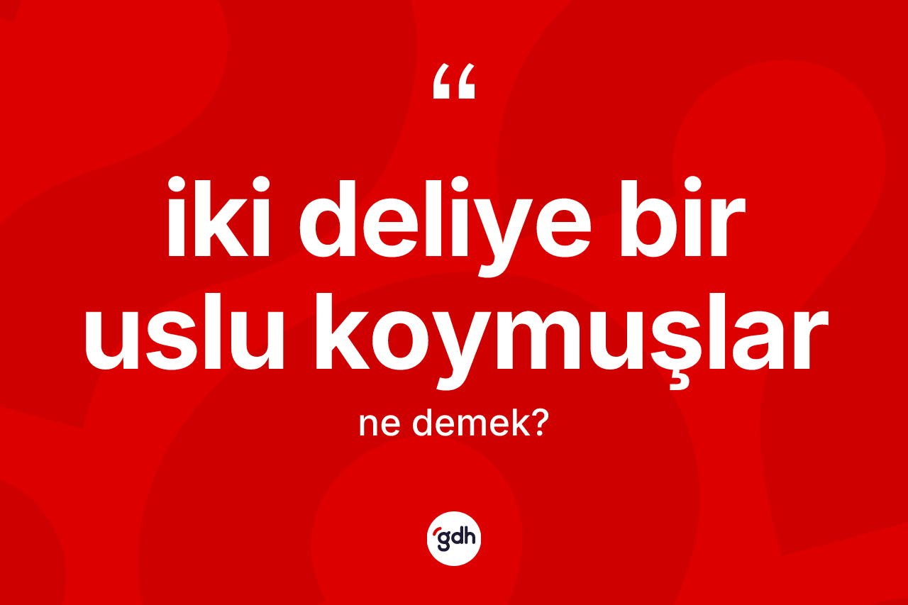 İki deliye bir uslu koymuşlar ifadesinin kısaca tanımı nedir?