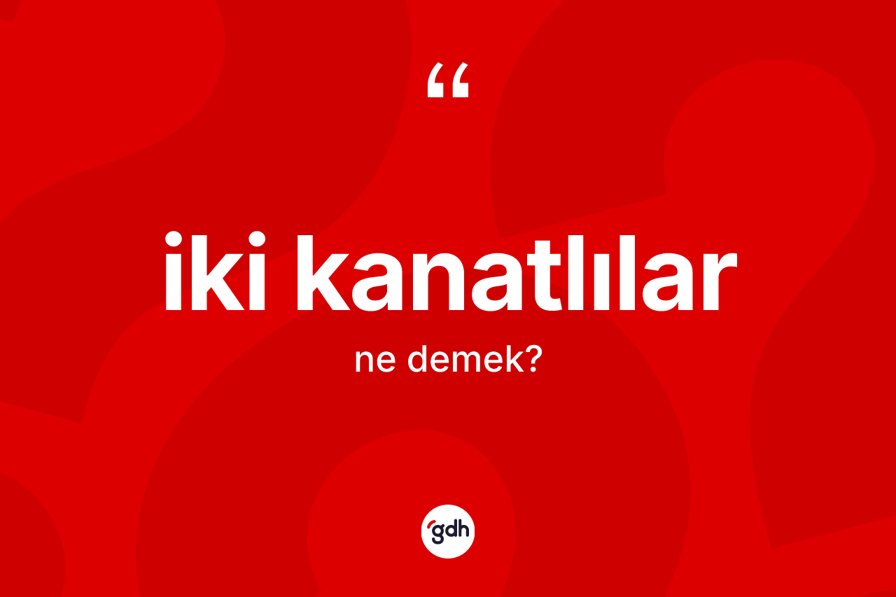 İki kanatlılar kelimesinin anlamı nedir? İki kanatlılar kelimesinin kaç farklı anlamı var?