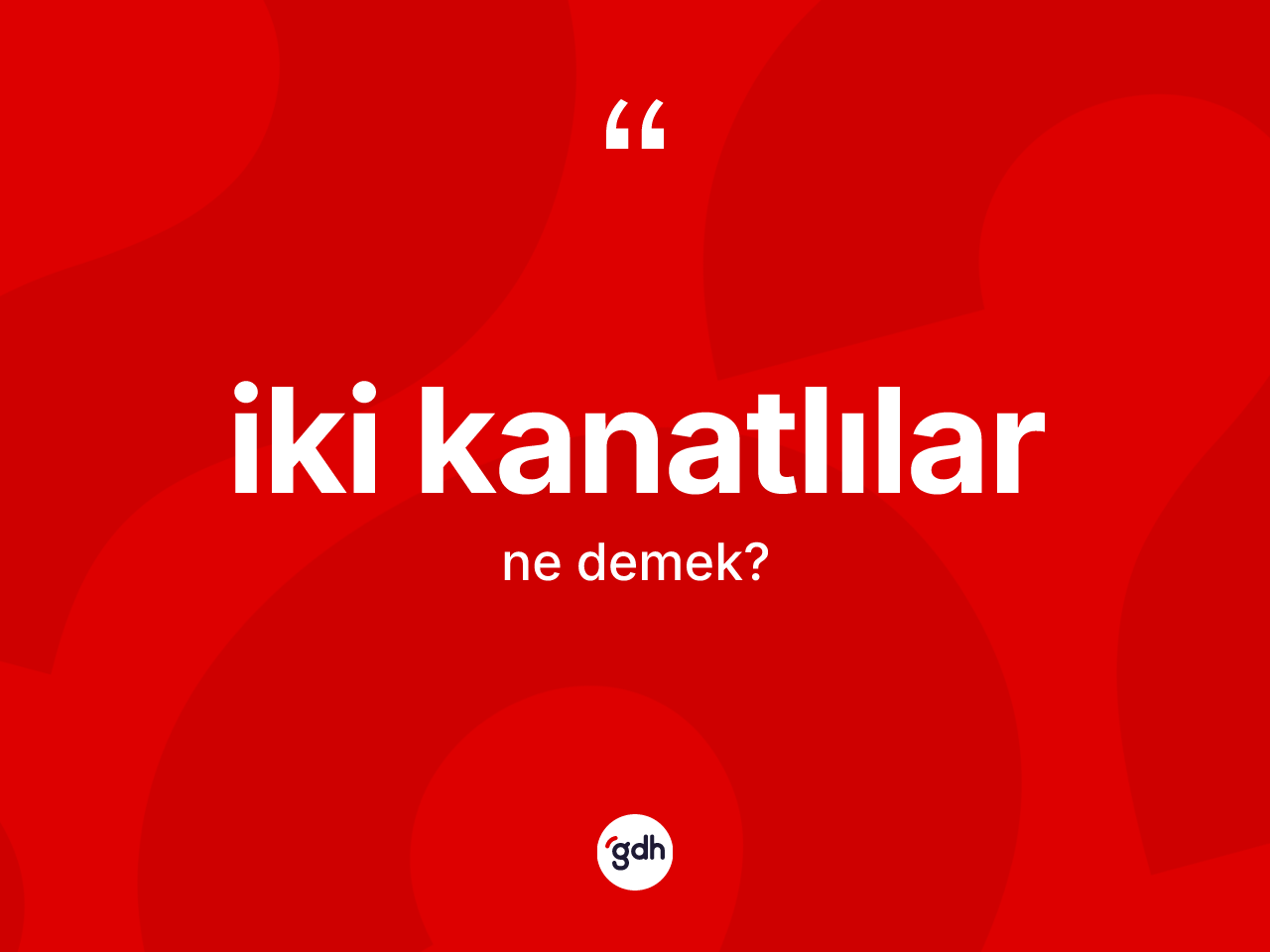 İki kanatlılar kelimesinin anlamı nedir? İki kanatlılar kelimesinin kaç farklı anlamı var?