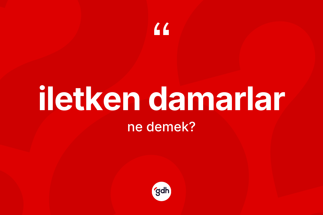 İletken damarlar kelimesi ne anlama gelir? İletken damarların TDK'ya göre anlamı nedir?