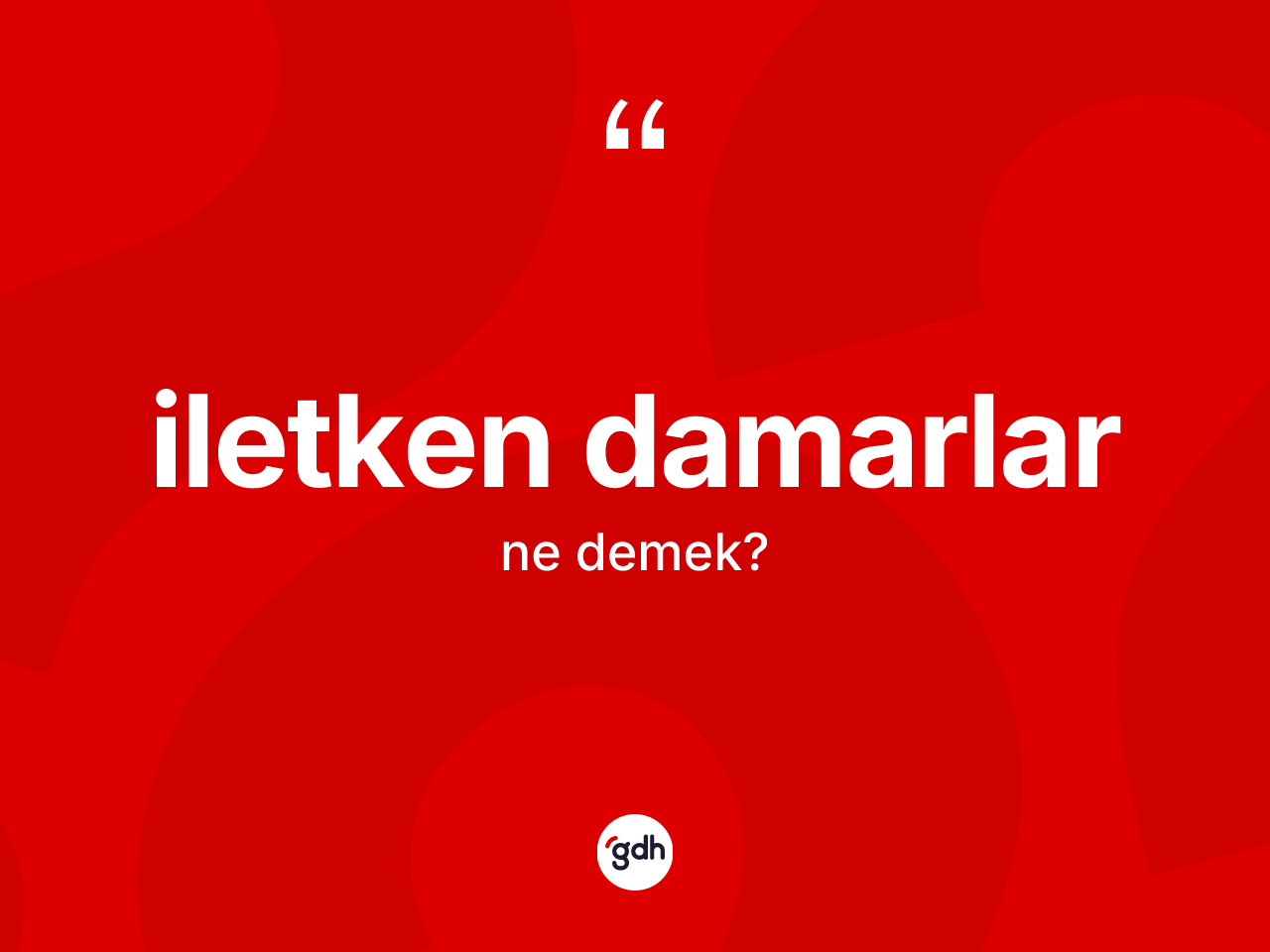 İletken damarlar kelimesi ne anlama gelir? İletken damarların TDK'ya göre anlamı nedir?