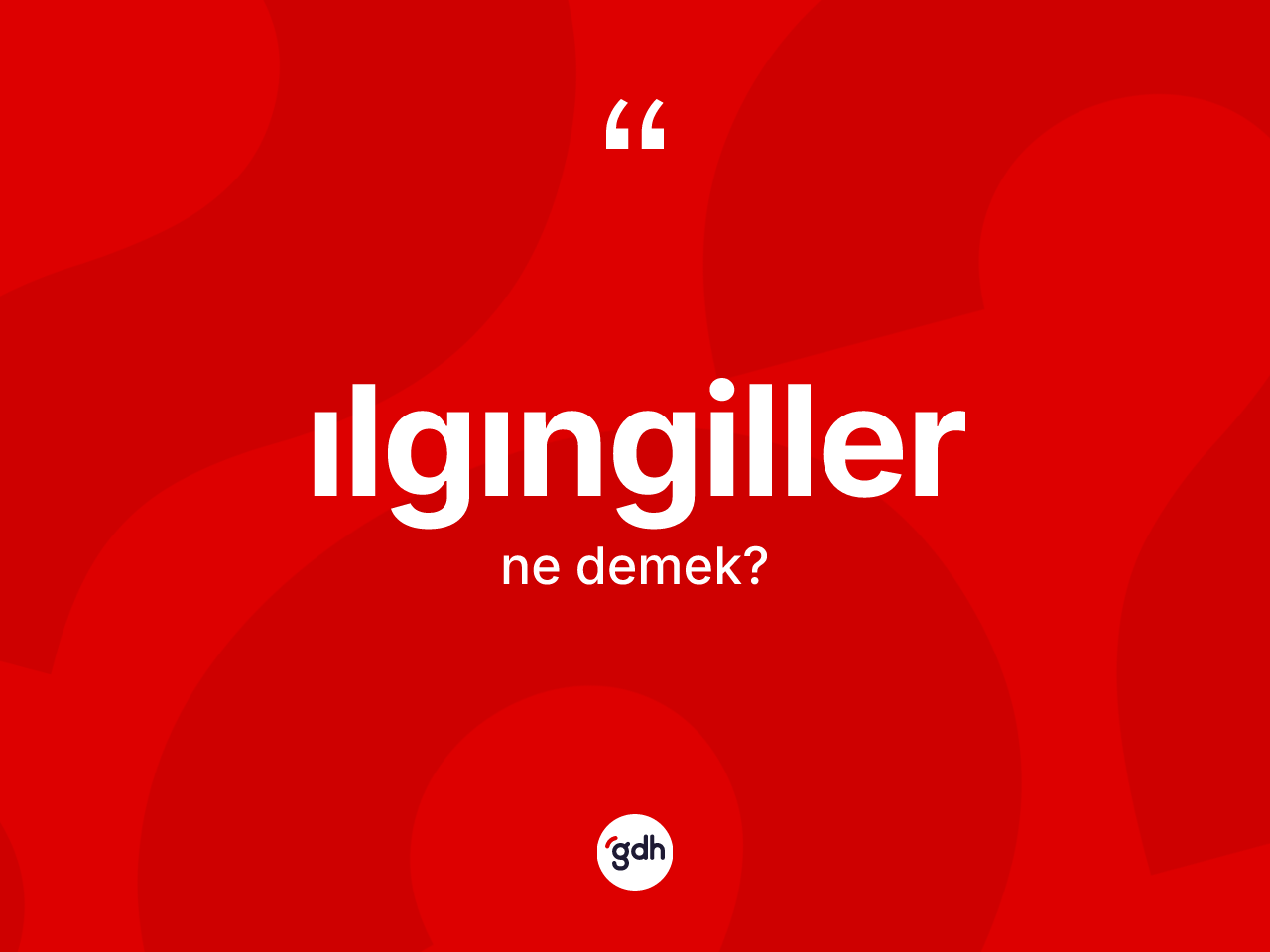 Ilgıngiller kelimesinin tanımı nedir? Ilgıngillerin kısaca tanımı nedir?