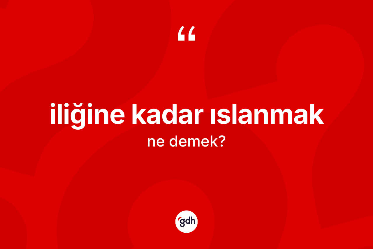 İliğine kadar ıslanmak ifadesinin sözlükteki anlamı nedir?