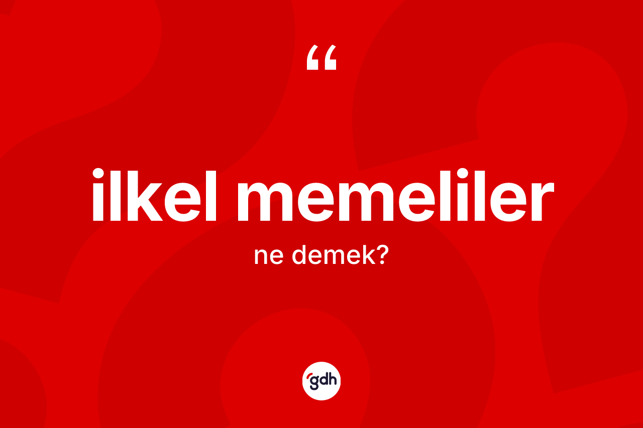 İlkel memeliler ne demek? İlkel memelilerin TDK'ya göre anlamı nedir?