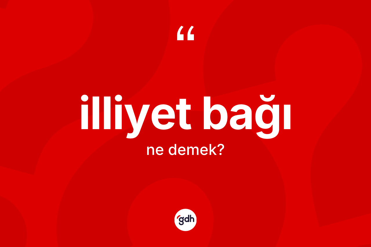 İlliyet bağı kelimesi nedir? İlliyet bağı kelimesinin özellikleri nelerdir?