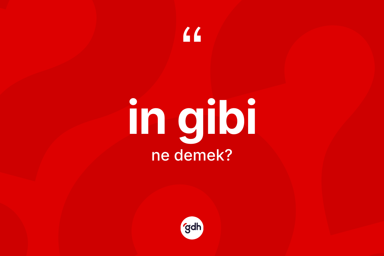 İn gibi ne anlama gelir? İn gibi ifadesi hangi durumlarda kullanılır?