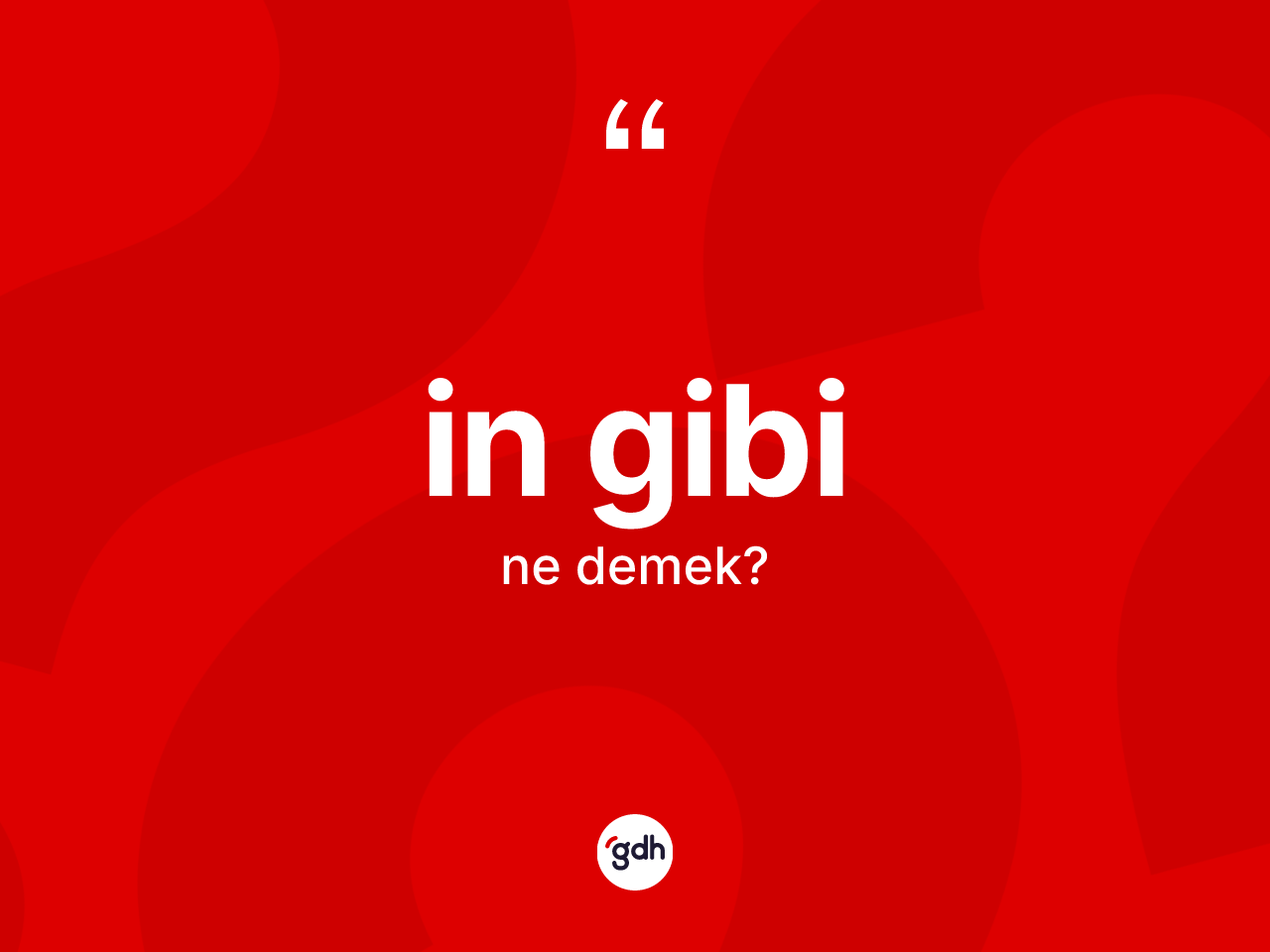 İn gibi ne anlama gelir? İn gibi ifadesi hangi durumlarda kullanılır?