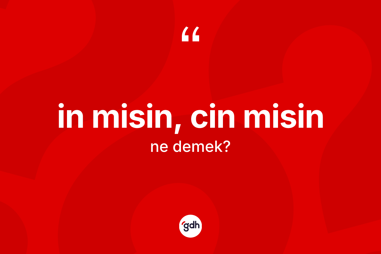 İn misin, cin misin ifadesinin sözlükteki anlamı nedir? İn misin, cin misin sözü hangi durumlarda kullanılır?