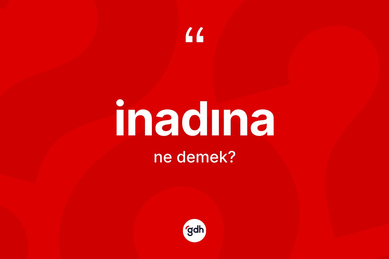 İnadına kelimesinin anlamı nedir? İnadınanın TDK'ya göre anlamı nedir?