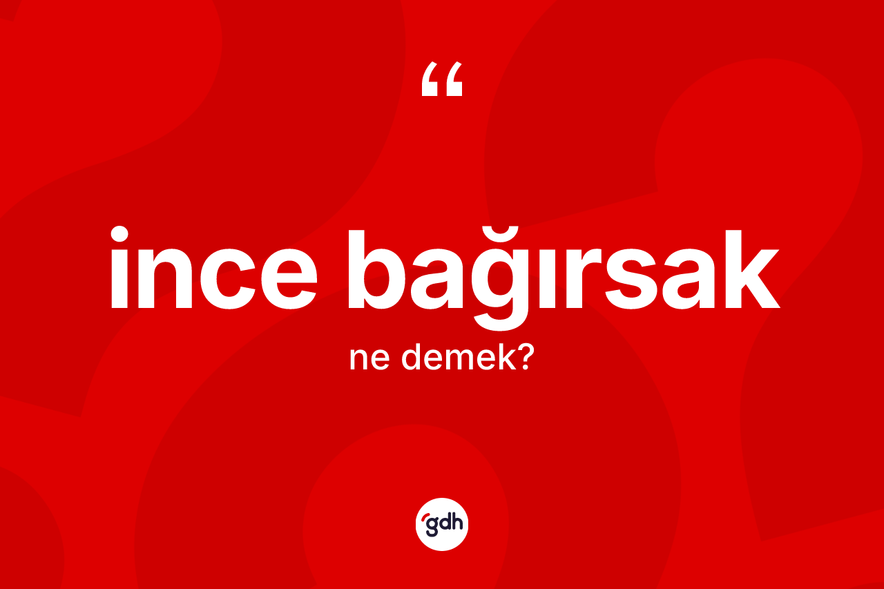 İnce bağırsak kelimesinin anlamı nedir? İnce bağırsağın kısaca tanımı nedir?
