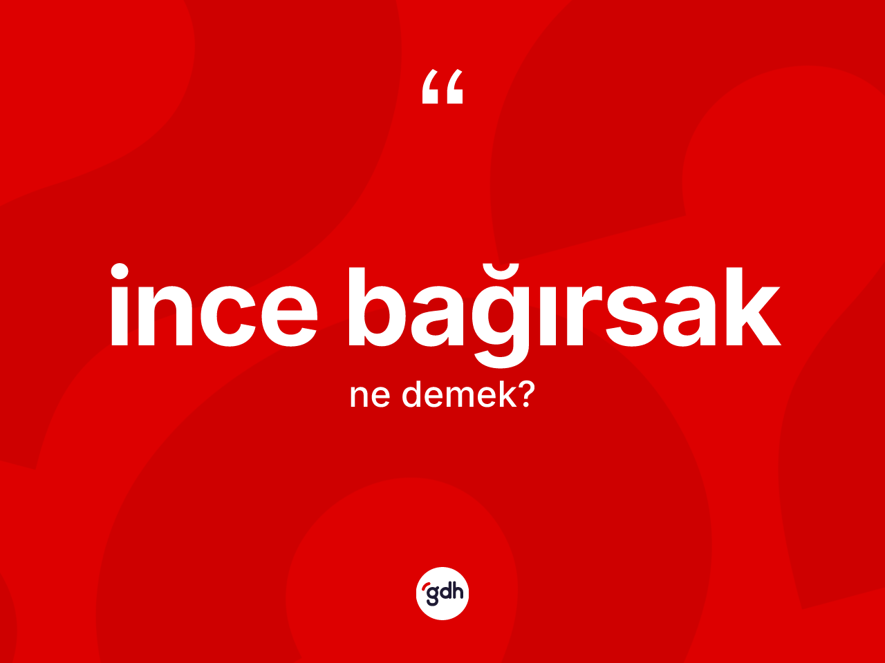 İnce bağırsak kelimesinin anlamı nedir? İnce bağırsağın kısaca tanımı nedir?
