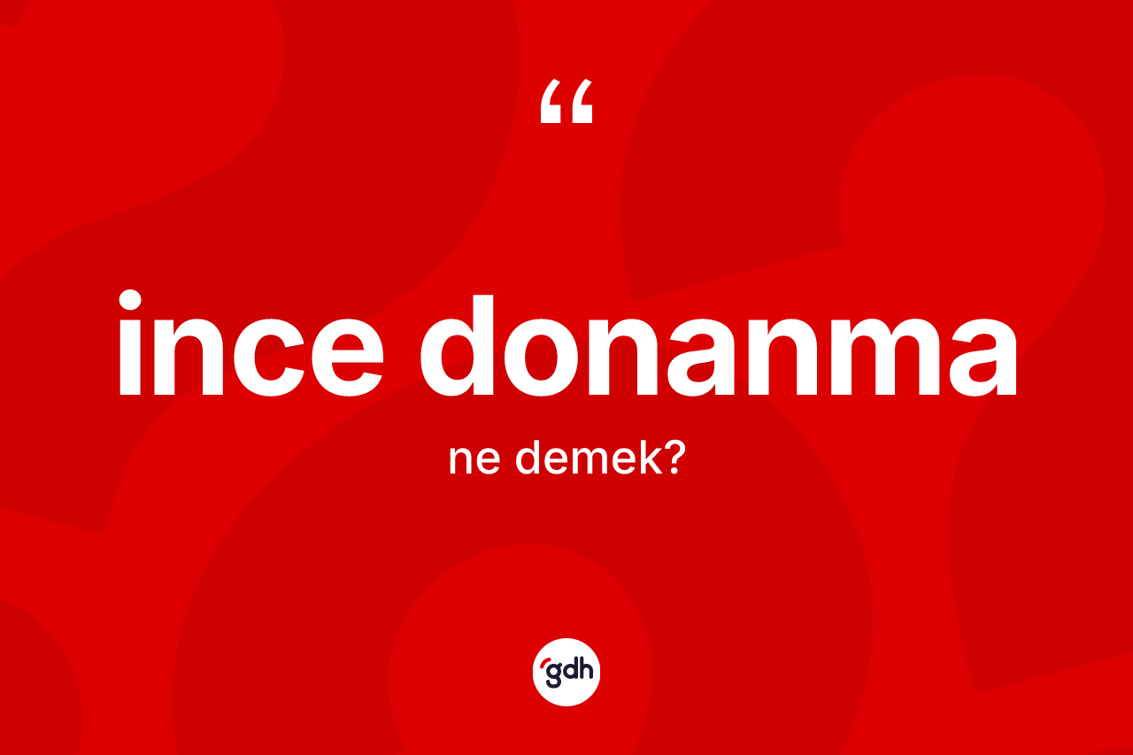 İnce donanma kelimesi ne anlama gelir? İnce donanma kelimesinin TDK anlamı nedir?