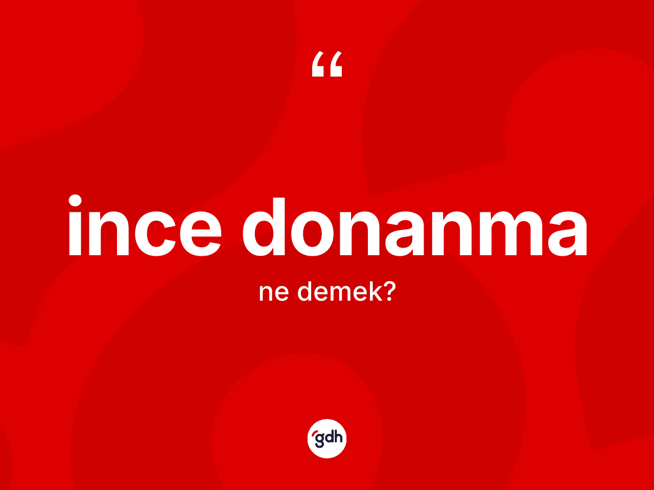 İnce donanma kelimesi ne anlama gelir? İnce donanma kelimesinin TDK anlamı nedir?