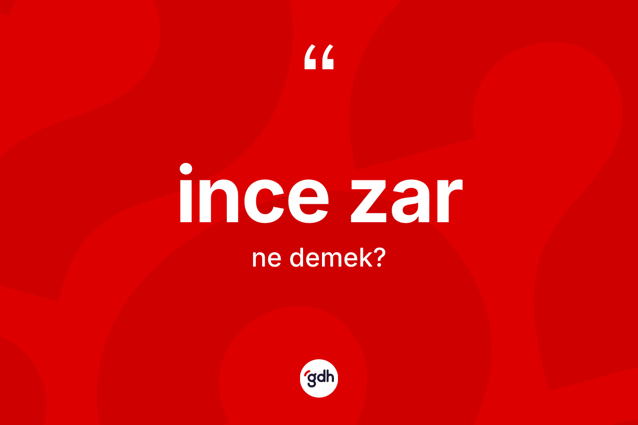 İnce zar kelimesinin tanımı nedir? İnce zar kelimesinin TDK anlamı nedir?