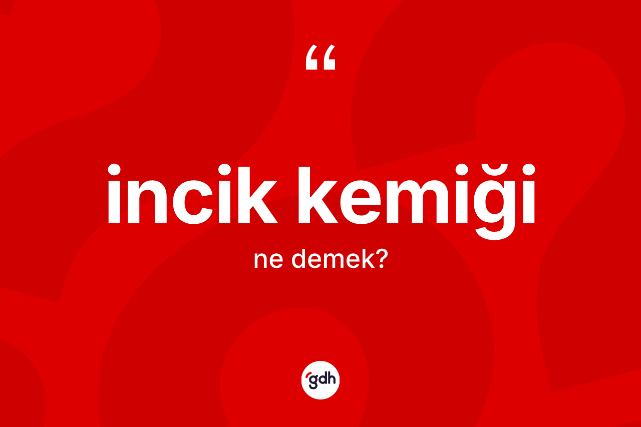 İncik kemiği kelimesinin sözlükteki tanımı nedir? İncik kemiğinin TDK'ya göre anlamı nedir?