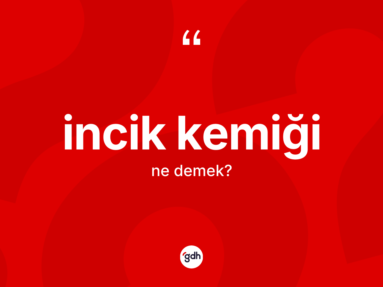 İncik kemiği kelimesinin sözlükteki tanımı nedir? İncik kemiğinin TDK'ya göre anlamı nedir?