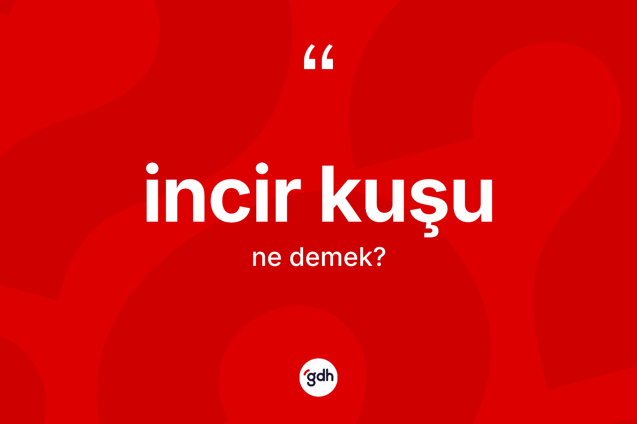 İncir kuşu kelimesinin sözlükteki tanımı nedir? İncir kuşunun TDK'ya göre anlamı nedir?