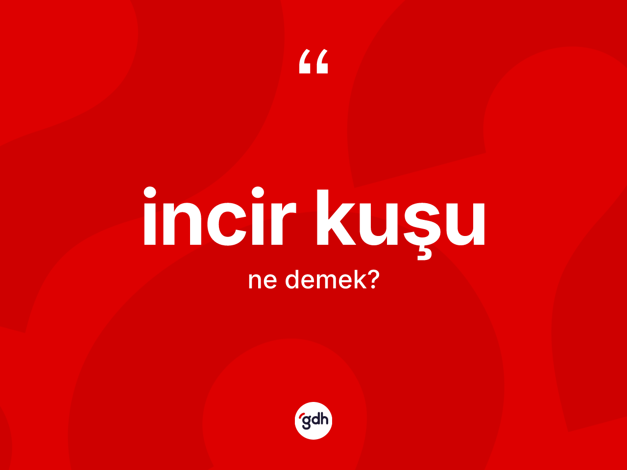 İncir kuşu kelimesinin sözlükteki tanımı nedir? İncir kuşunun TDK'ya göre anlamı nedir?