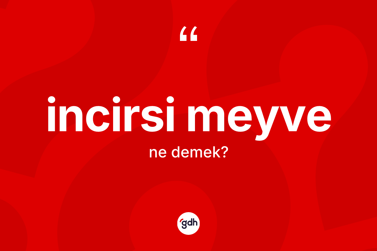 İncirsi meyve kelimesinin sözlükteki tanımı nedir? İncirsi meyve kelimesinin TDK anlamı nedir?