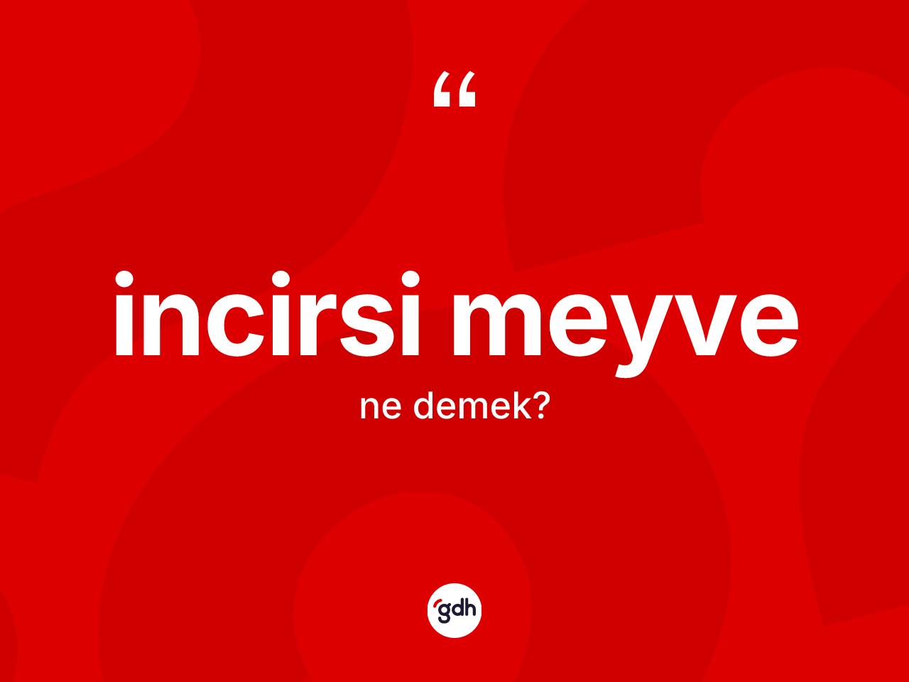 İncirsi meyve kelimesinin sözlükteki tanımı nedir? İncirsi meyve kelimesinin TDK anlamı nedir?